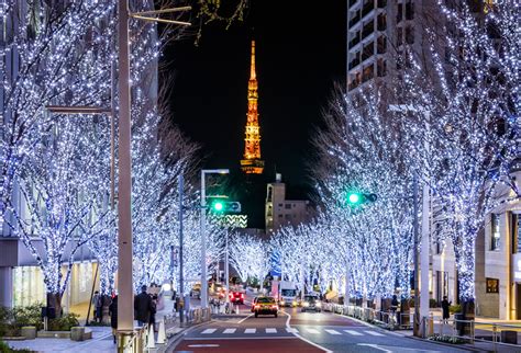 吉祥燈飾|Roppongi Hills Christmas 2024 / 東京旅遊官方網站GO TOKYO